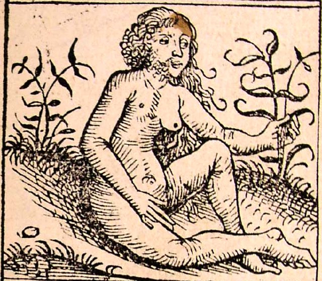 Androgyne. Hartmann Schedel, illustration from the “Nuremberg Chronicle,” 1493