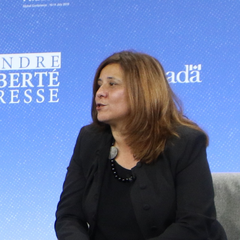 La Relatora Especial de la ONU sobre los derechos humanos en Rusia, Mariana Katzarova