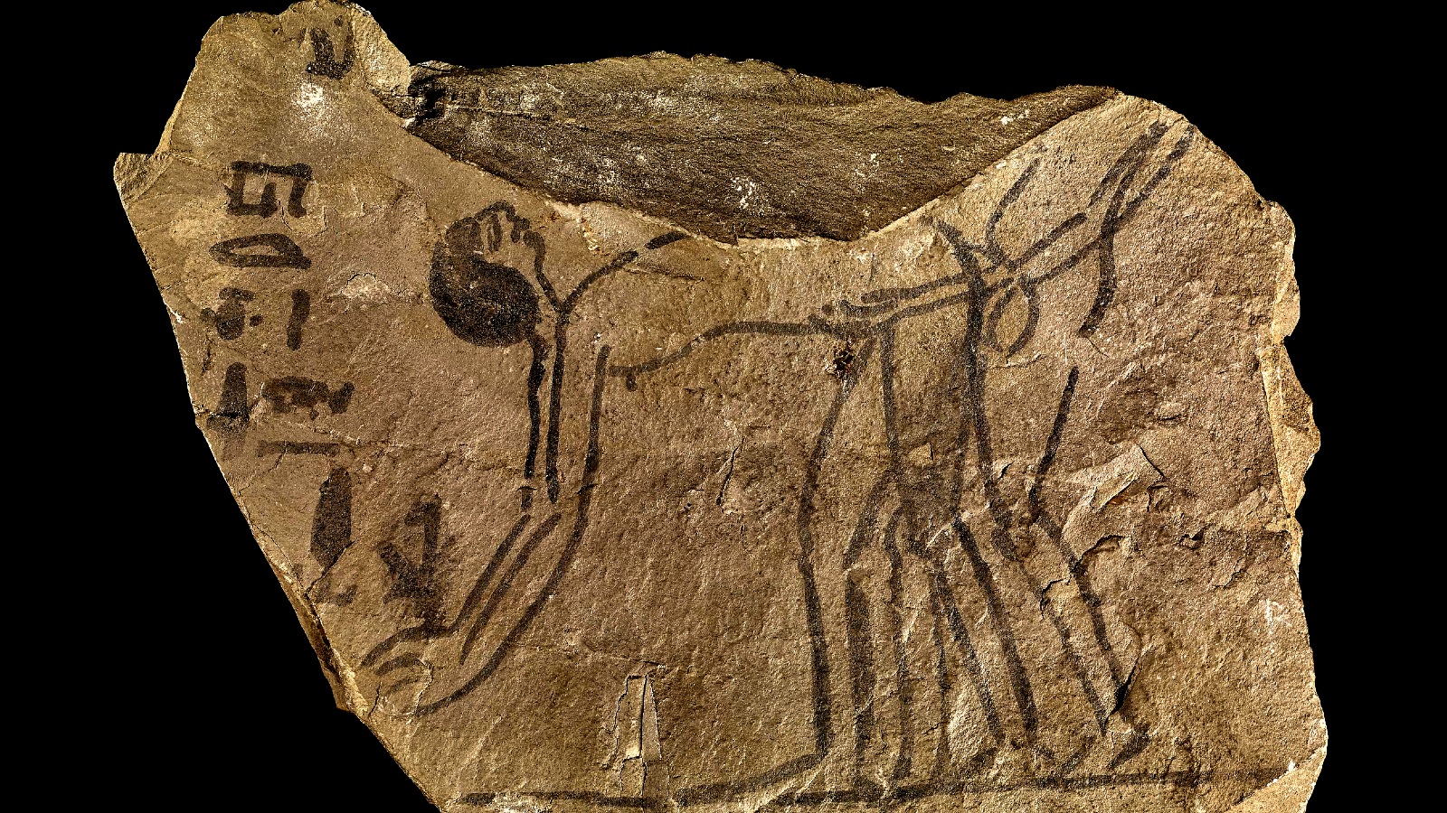 A Possible Same-Sex Intercourse Scene from Ancient Egypt — An Erotic Ostracon