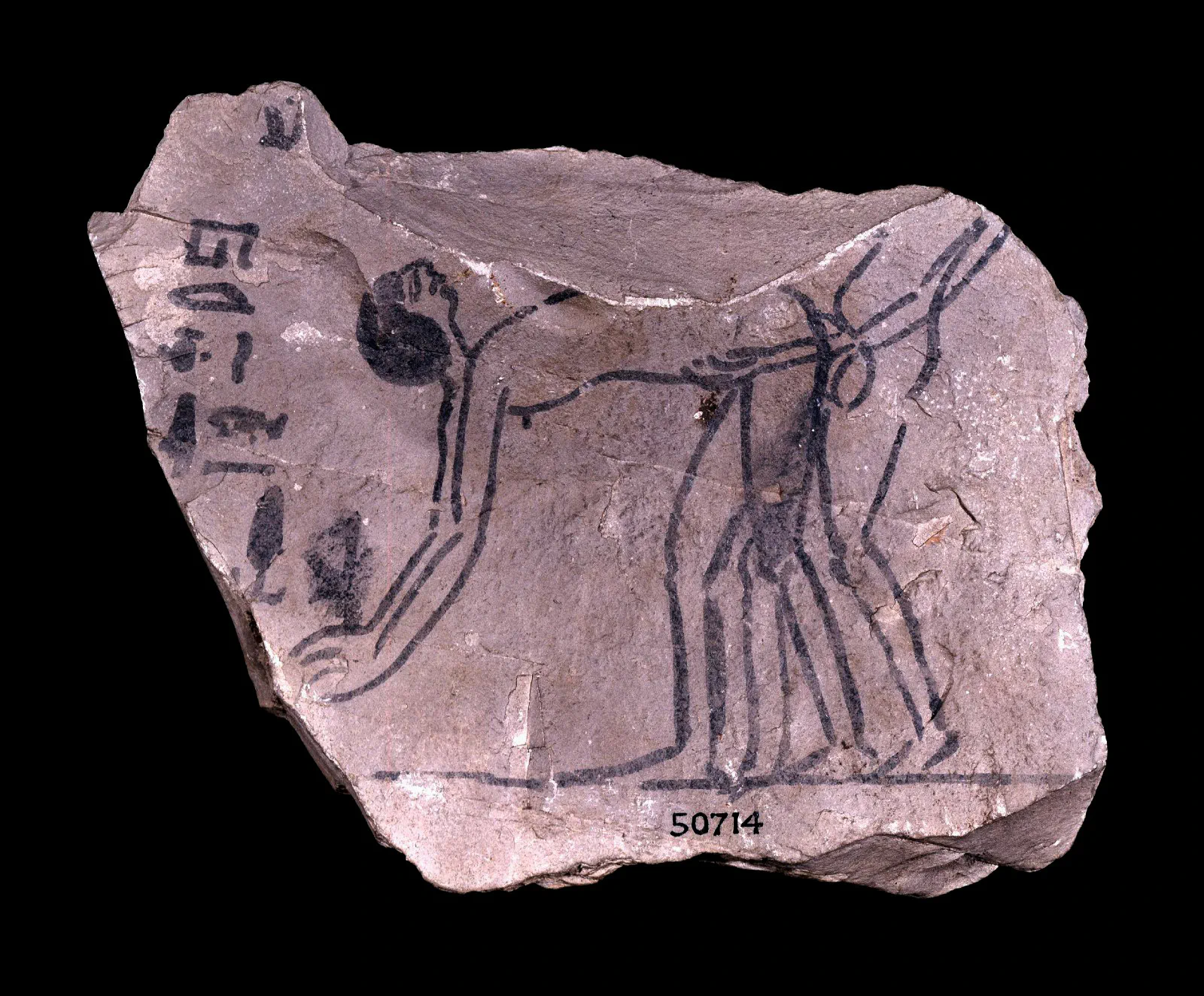 Ostrakon EA50714.