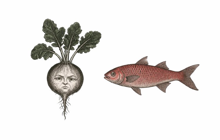 Античное наказание за измену — ввод рыбы и редьки в анус (рафанидоз)