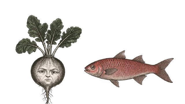 An Ancient Punishment for Adultery – Inserting Fish and Radish into the Anus (Rhaphanidosis)
