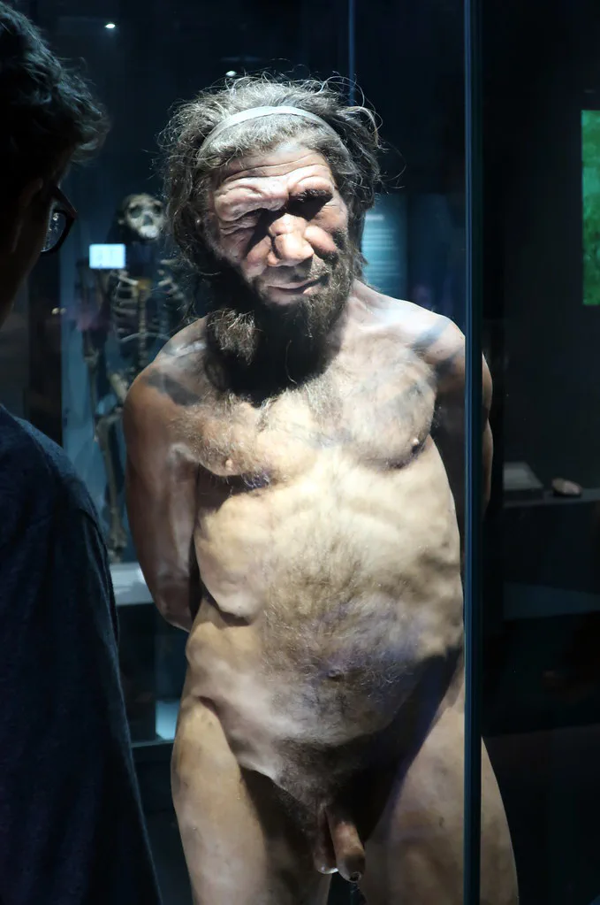 Modello di Neanderthal al Museo di Storia Naturale di Londra