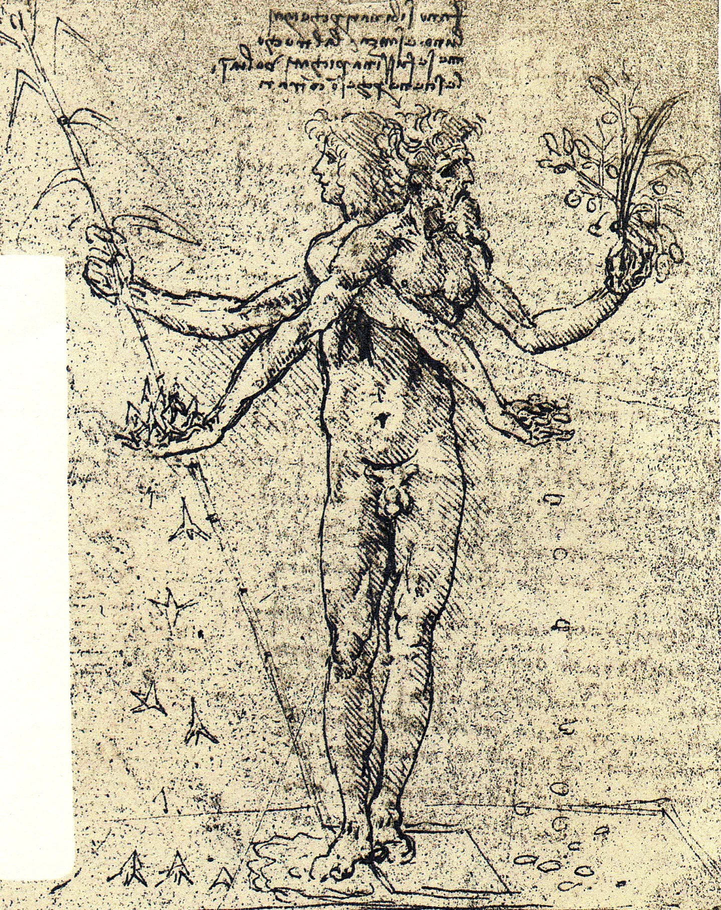Ermafrodito. Incisione tratta da schizzi di Leonardo da Vinci, XV-XVI secolo. Nel dialogo “Simposio”, Platone riporta il mito secondo cui in origine gli esseri umani erano creature integre con quattro braccia, quattro gambe e due volti. Questi esseri decisero di sfidare gli dèi. Per punizione, Zeus li tagliò a metà, trasformandoli nelle persone di oggi. Da allora, ogni persona cerca la propria metà perduta, aspirando a ripristinare l’unità smarrita.